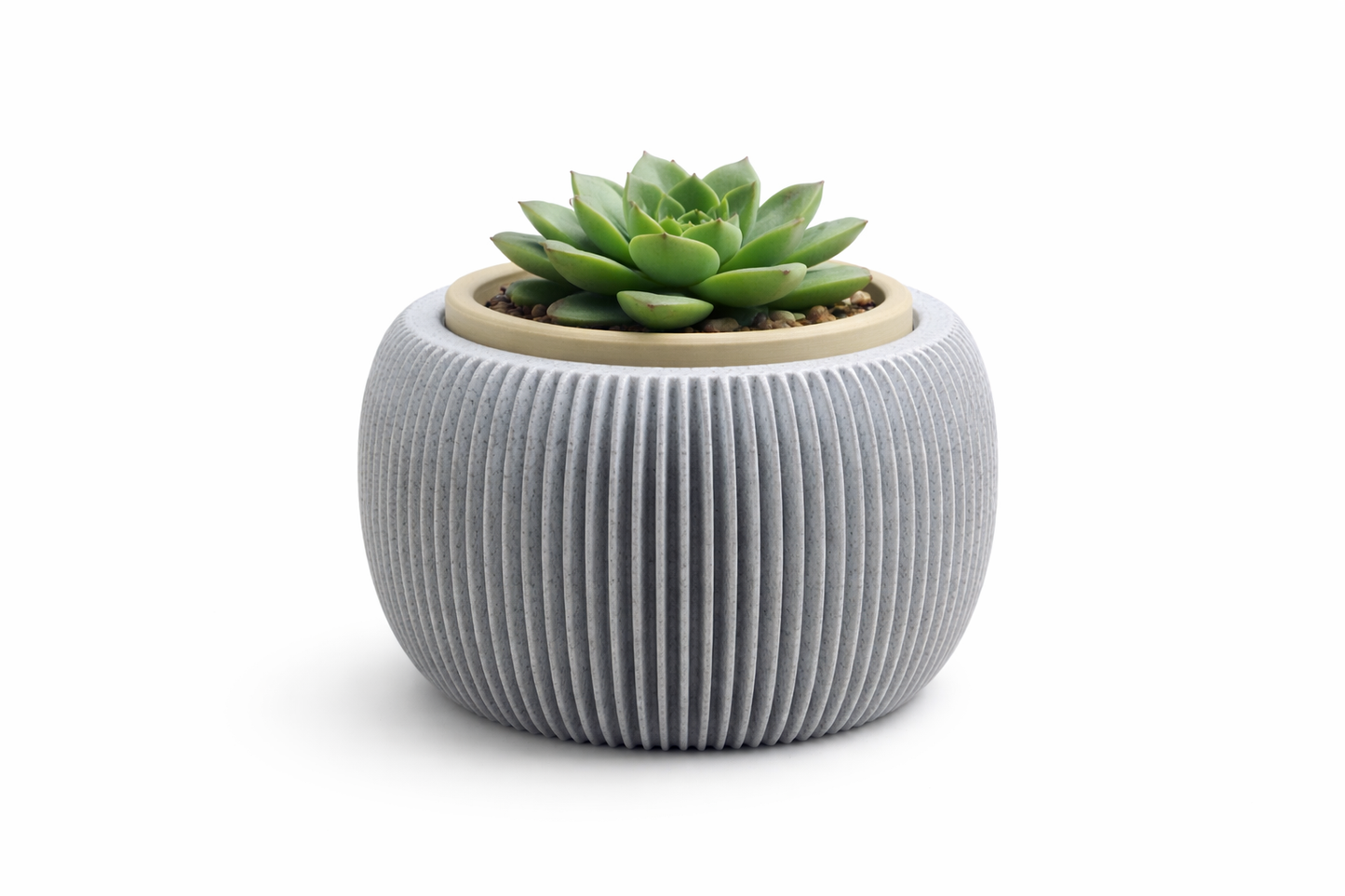 Triolam Single Succulant Plant Pot