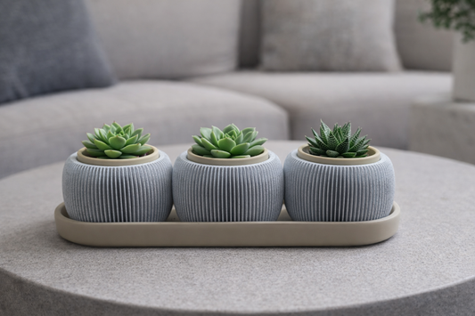 Triolam Mini succulant Pot Set